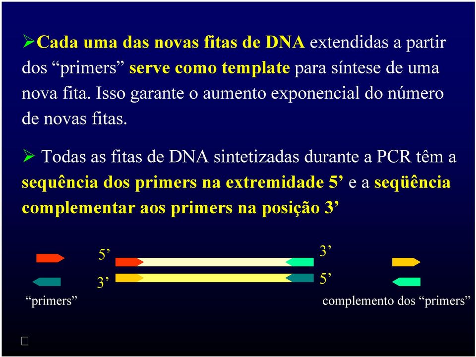Todas as fitas de DNA sintetizadas durante a PCR têm a sequência dos primers na