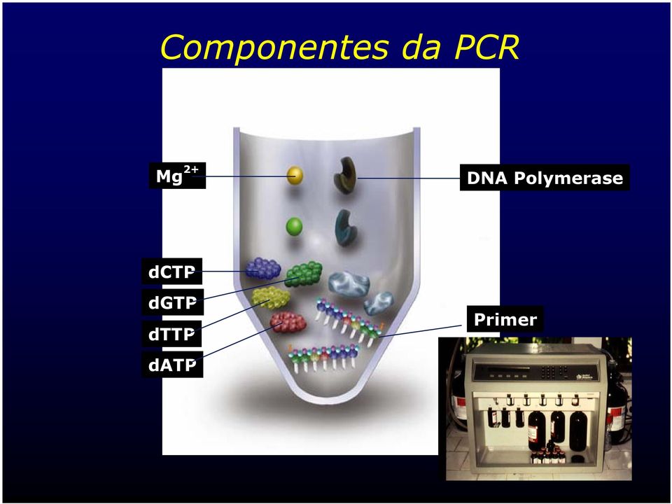 Polymerase dctp