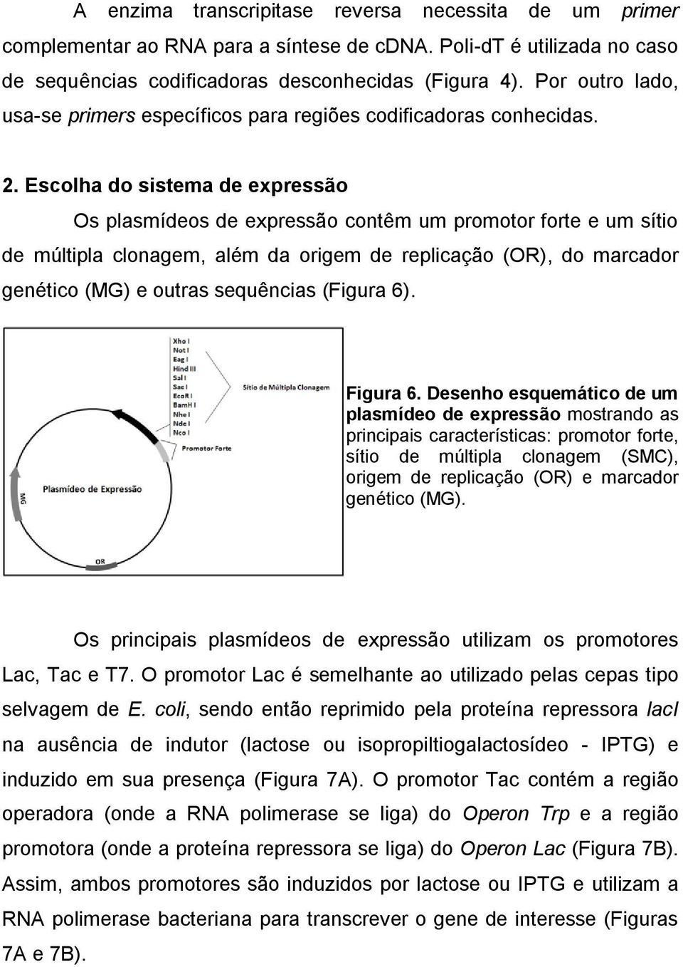 Escolha do sistema de expressão Os plasmídeos de expressão contêm um promotor forte e um sítio de múltipla clonagem, além da origem de replicação (OR), do marcador genético (MG) e outras sequências