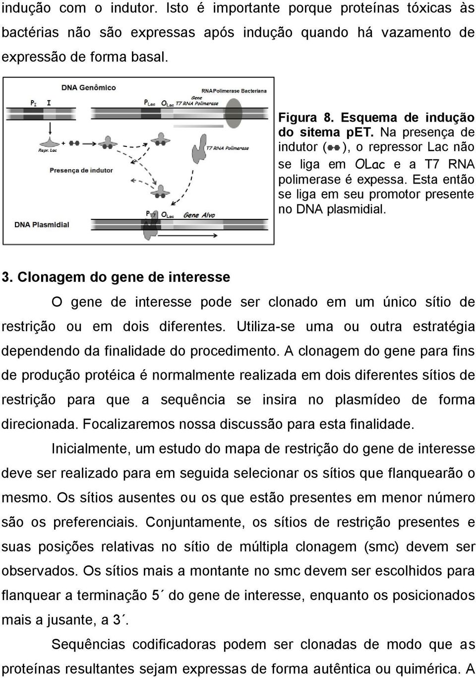 Clonagem do gene de interesse O gene de interesse pode ser clonado em um único sítio de restrição ou em dois diferentes. Utiliza-se uma ou outra estratégia dependendo da finalidade do procedimento.