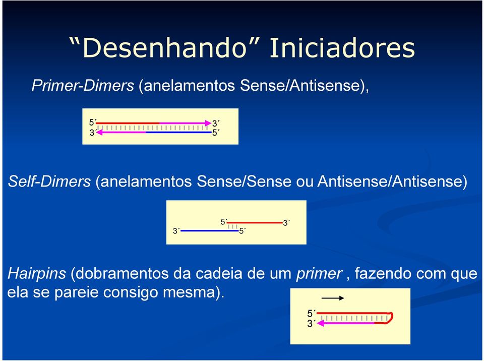 Bioquímica, UBA Self-Dimers (anelamentos 5 3 Sense/Sense PCR ou Antisense/Antisense) 3 5 5 5 -NNNNNNNNNNNGCATGC-3 3 5 5 -NNNNNNNNNNNNNNNNN-3 5 -TATANNNNNNNN-3 3 -NNNNNNNNATAT-5 (c) Evitar las