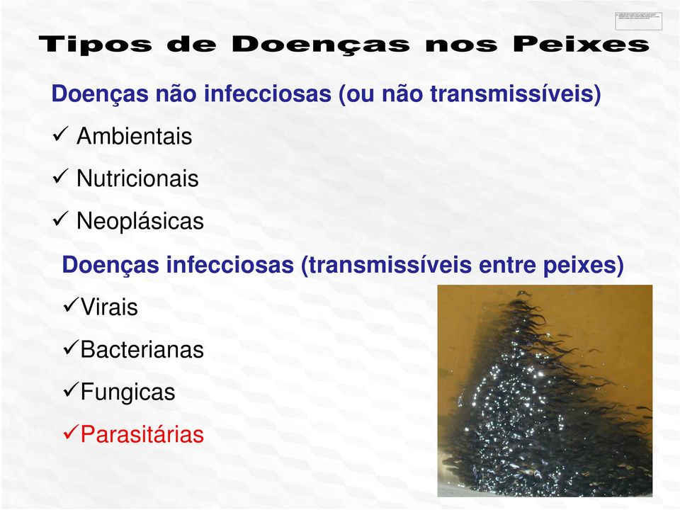 Neoplásicas Doenças infecciosas