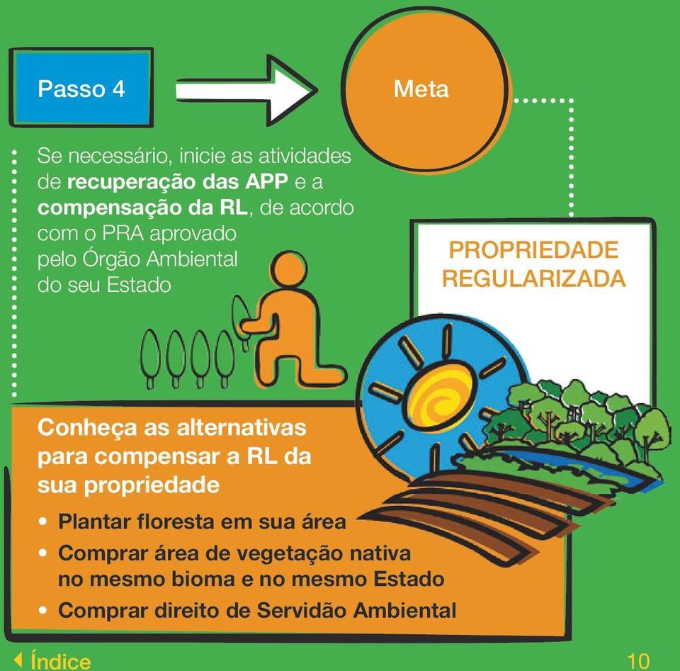 alternativas para compensar a RL da sua propriedade Plantar floresta em sua área Comprar área de