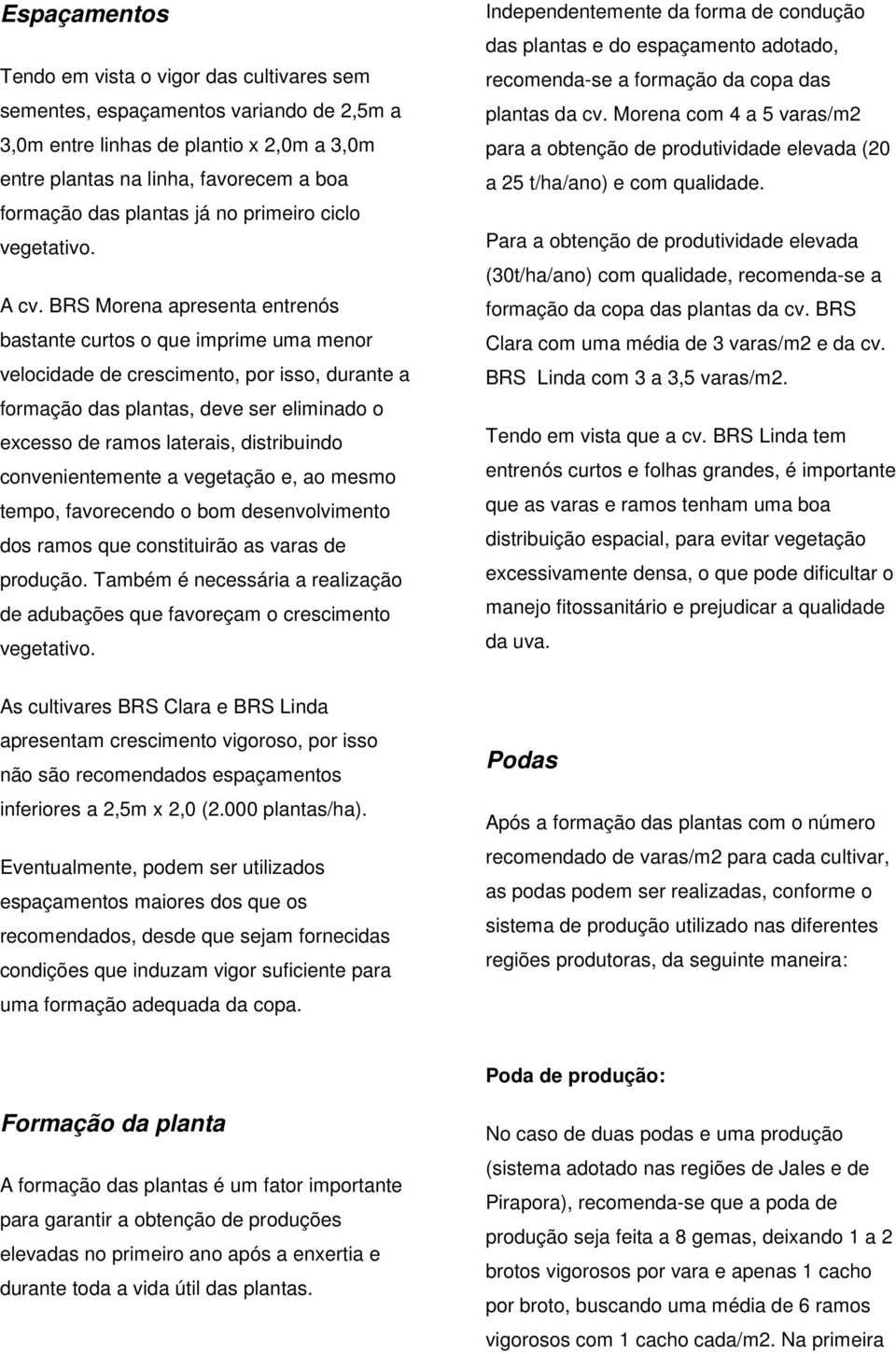 BRS Morena apresenta entrenós bastante curtos o que imprime uma menor velocidade de crescimento, por isso, durante a formação das plantas, deve ser eliminado o excesso de ramos laterais, distribuindo