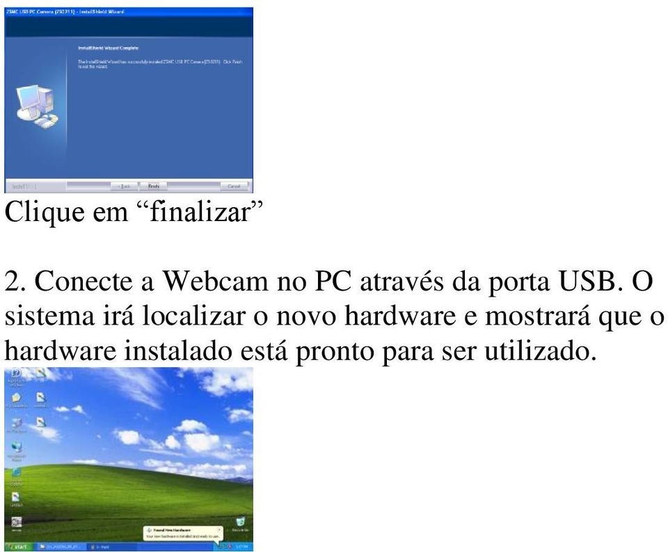 O sistema irá localizar o novo hardware e