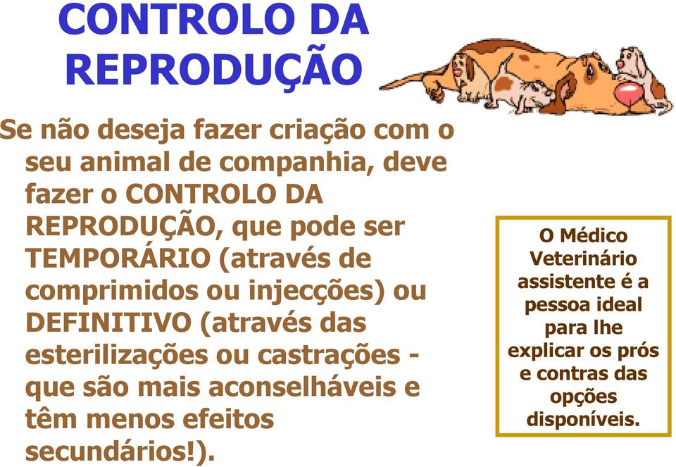 (através das esterilizações ou castrações - que são mais aconselháveis e têm menos efeitos secundários!