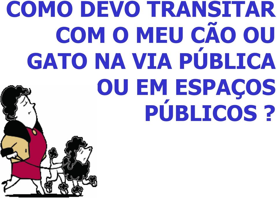 GATO NA VIA PÚBLICA