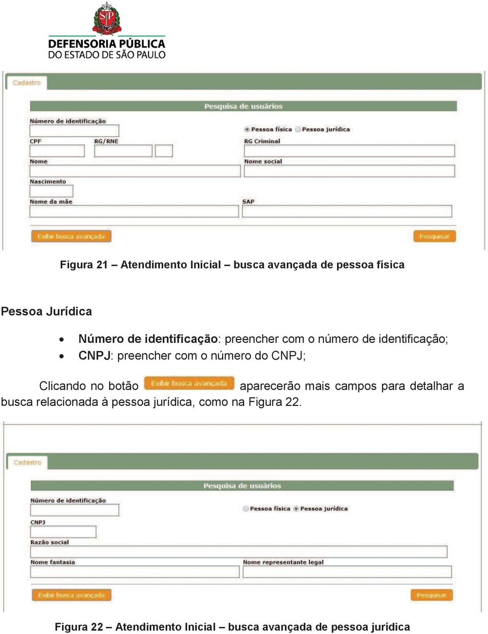 CNPJ; Clicando no botão aparecerão mais campos para detalhar a busca relacionada à pessoa