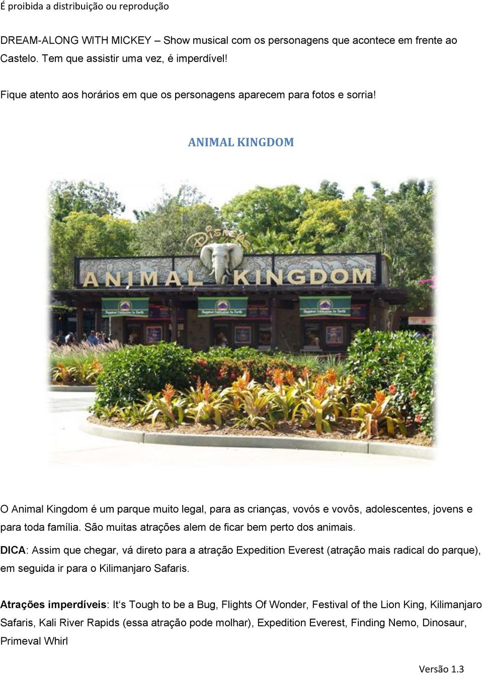 ANIMAL KINGDOM O Animal Kingdom é um parque muito legal, para as crianças, vovós e vovôs, adolescentes, jovens e para toda família. São muitas atrações alem de ficar bem perto dos animais.
