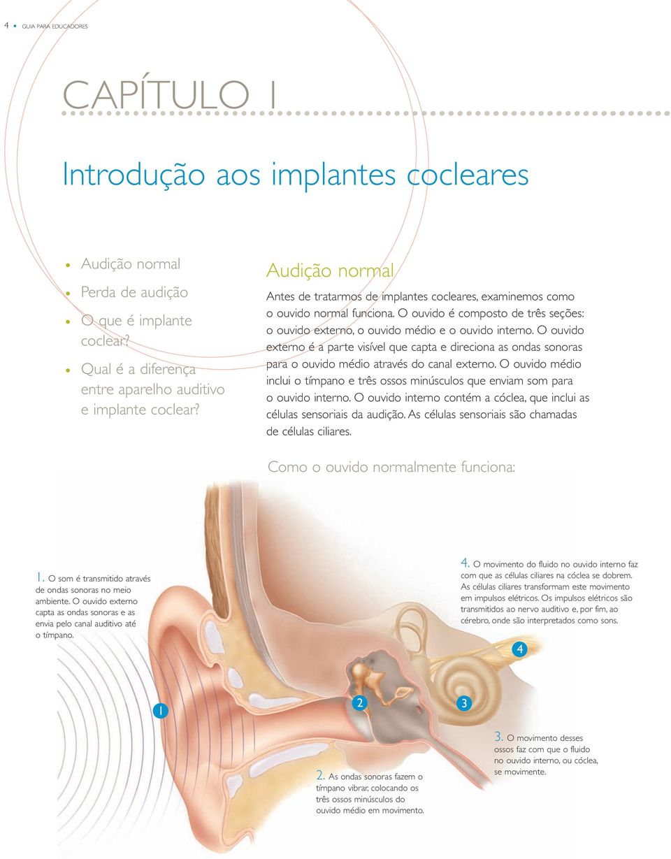 O ouvido externo é a parte visível que capta e direciona as ondas sonoras para o ouvido médio através do canal externo.