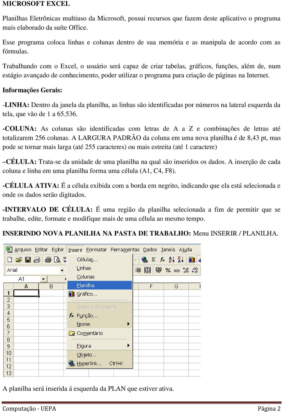 Trabalhando com o Excel, o usuário será capaz de criar tabelas, gráficos, funções, além de, num estágio avançado de conhecimento, poder utilizar o programa para criação de páginas na Internet.