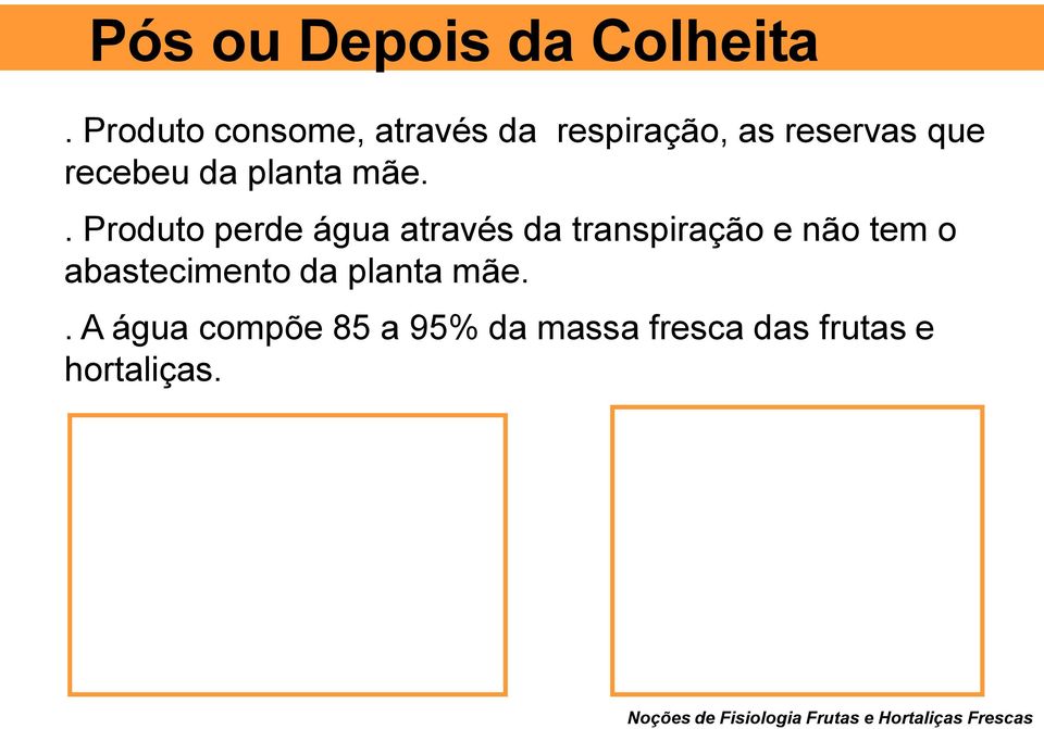 mãe.. Produto perde água através da transpiração e não tem o abastecimento