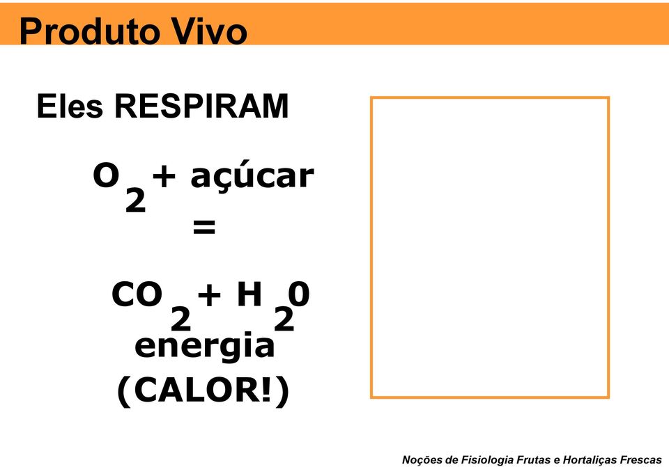 energia (CALOR!