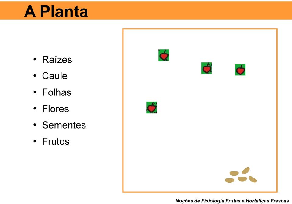 Frutos Noções de