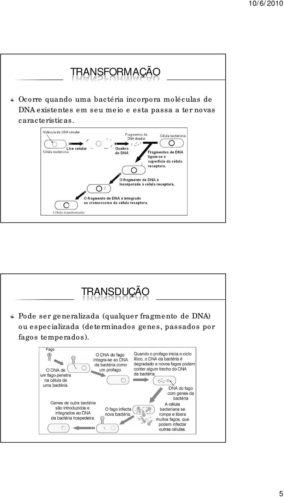 características.