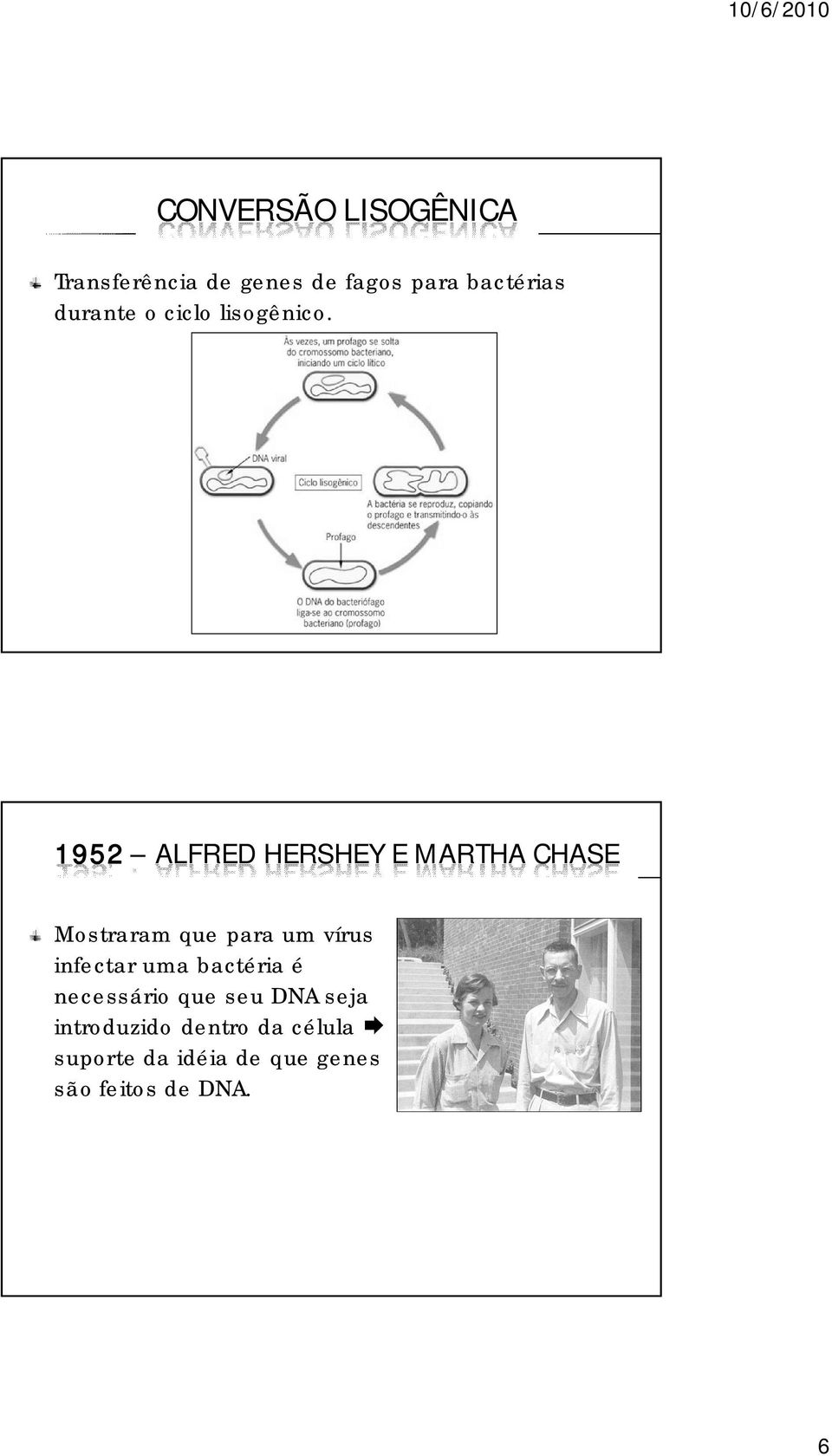 1952 ALFRED HERSHEY E MARTHA CHASE Mostraram que para um vírus infectar