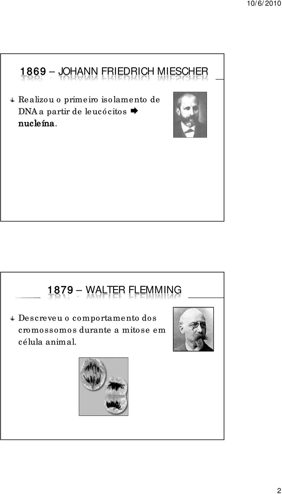 1879 WALTER FLEMMING Descreveu o comportamento dos