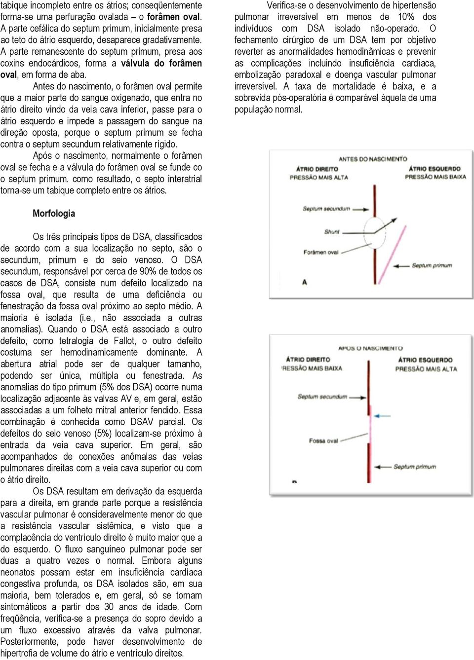 A parte remanescente do septum primum, presa aos coxins endocárdicos, forma a válvula do forâmen oval, em forma de aba.