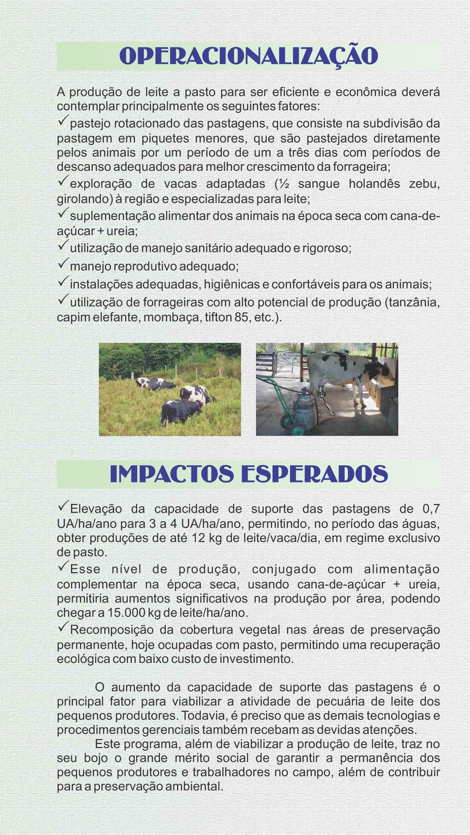 vacas adaptadas (½ sangue holandês zebu, girolando) à região e especializadas para leite; Psuplementação alimentar dos animais na época seca com cana-deaçúcar + ureia; Putilização de manejo sanitário