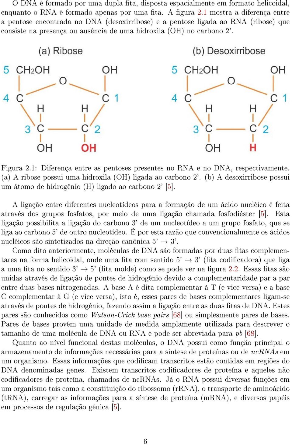 1: Diferença entre as pentoses presentes no RNA e no DNA, respectivamente. (a) A ribose possui uma hidroxila (OH) ligada ao carbono 2'.