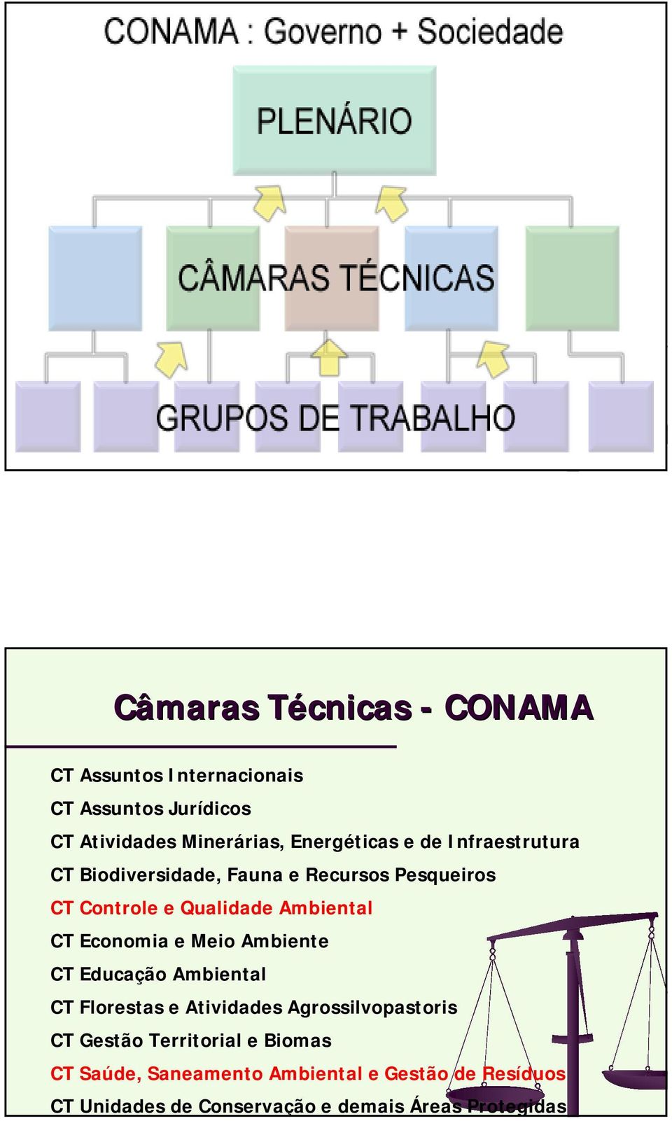 Ambiental CT Economia e Meio Ambiente CT Educação Ambiental CT Florestas e Atividades Agrossilvopastoris CT