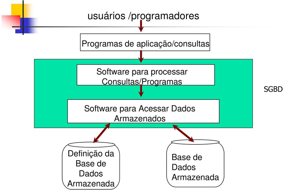 Consultas/Programas SGBD Software para Acessar