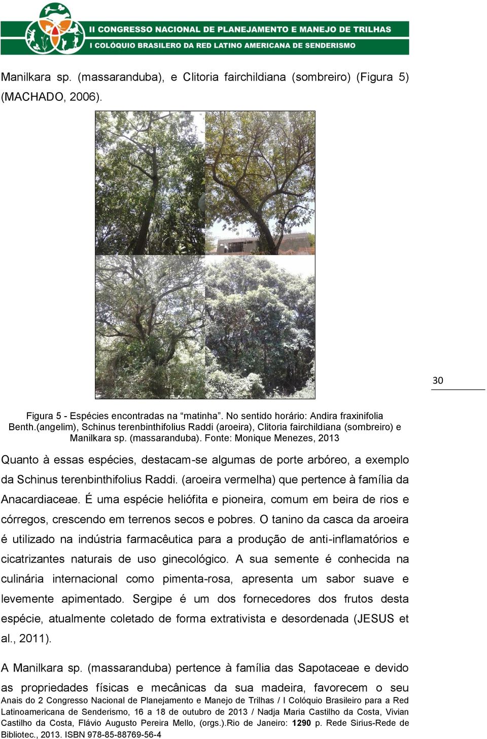 Fonte: Monique Menezes, 2013 Quanto à essas espécies, destacam-se algumas de porte arbóreo, a exemplo da Schinus terenbinthifolius Raddi. (aroeira vermelha) que pertence à família da Anacardiaceae.