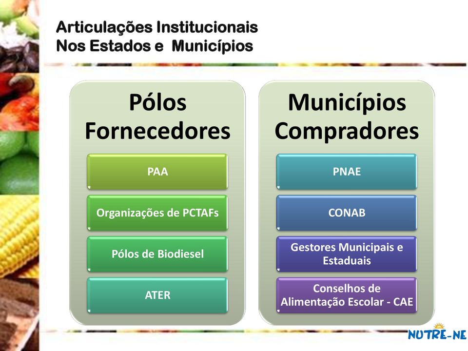 Organizações de PCTAFs Pólos de Biodiesel ATER CONAB