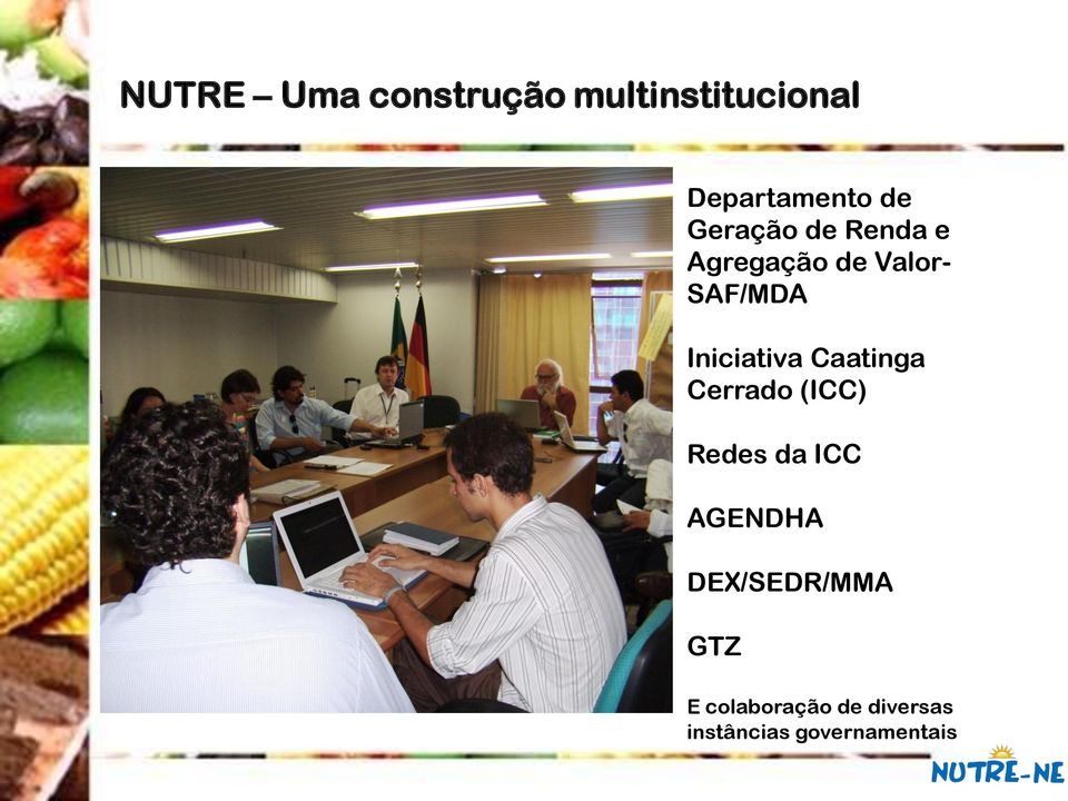 Iniciativa Caatinga Cerrado (ICC) Redes da ICC AGENDHA