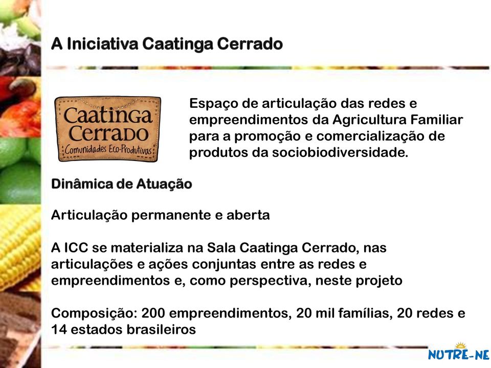 A ICC se materializa na Sala Caatinga Cerrado, nas articulações e ações conjuntas entre as redes e empreendimentos