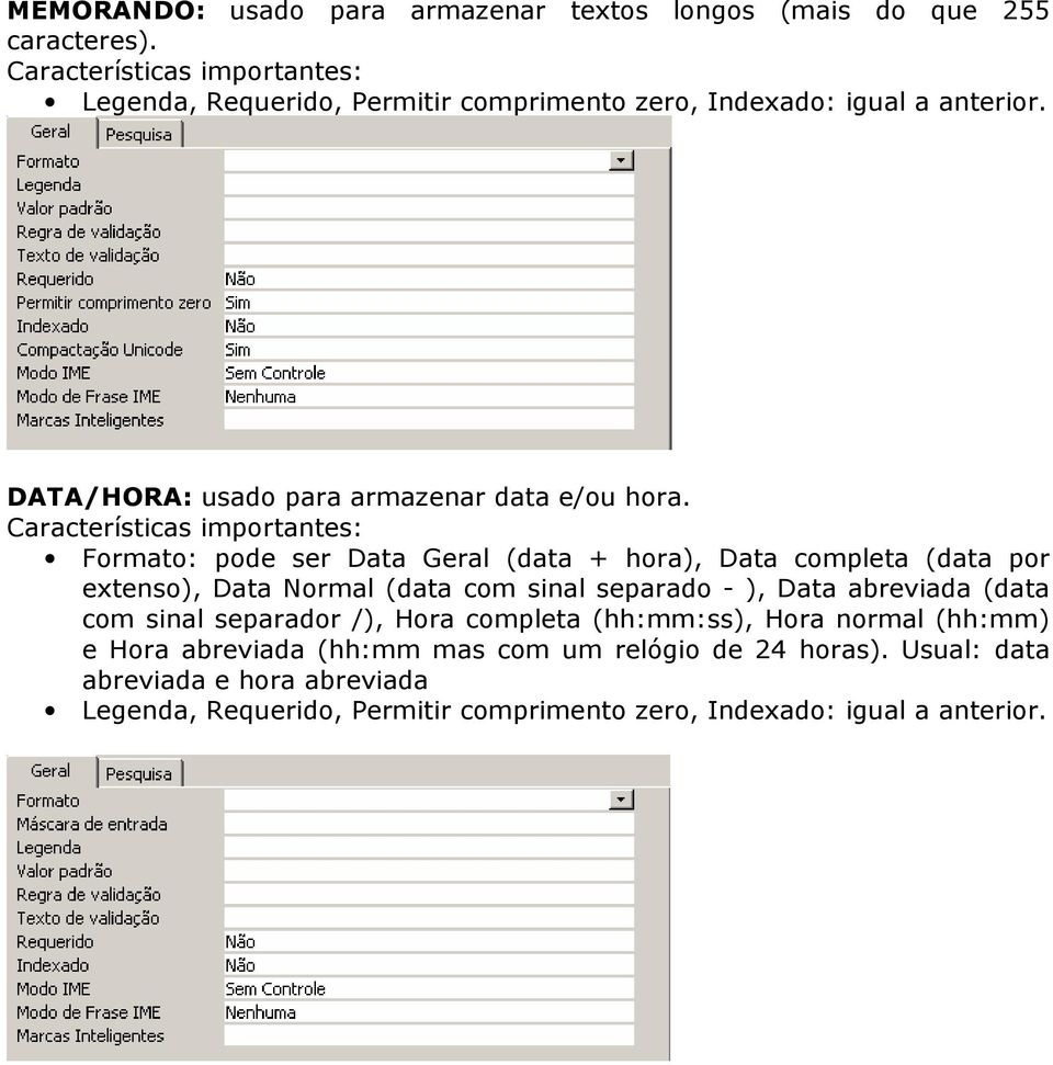 Características importantes: Formato: pode ser Data Geral (data + hora), Data completa (data por extenso), Data Normal (data com sinal separado - ), Data