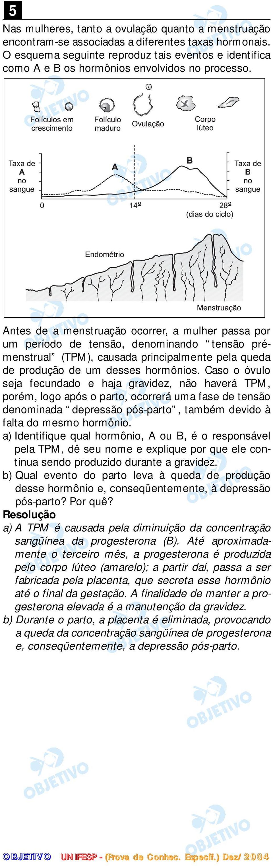 Antes de a menstruação ocorrer, a mulher passa por um período de tensão, denominando tensão prémenstrual (TPM), causada principalmente pela queda de produção de um desses hormônios.