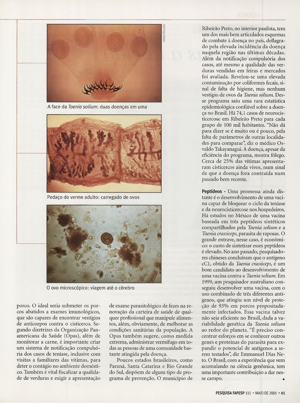 Segundo diretrizes da Organização Panamericana da Saúde (Opas), além de monitorar a carne, é importante criar um sistema de notificação compulsória dos casos de teníase, inclusive com visitas a