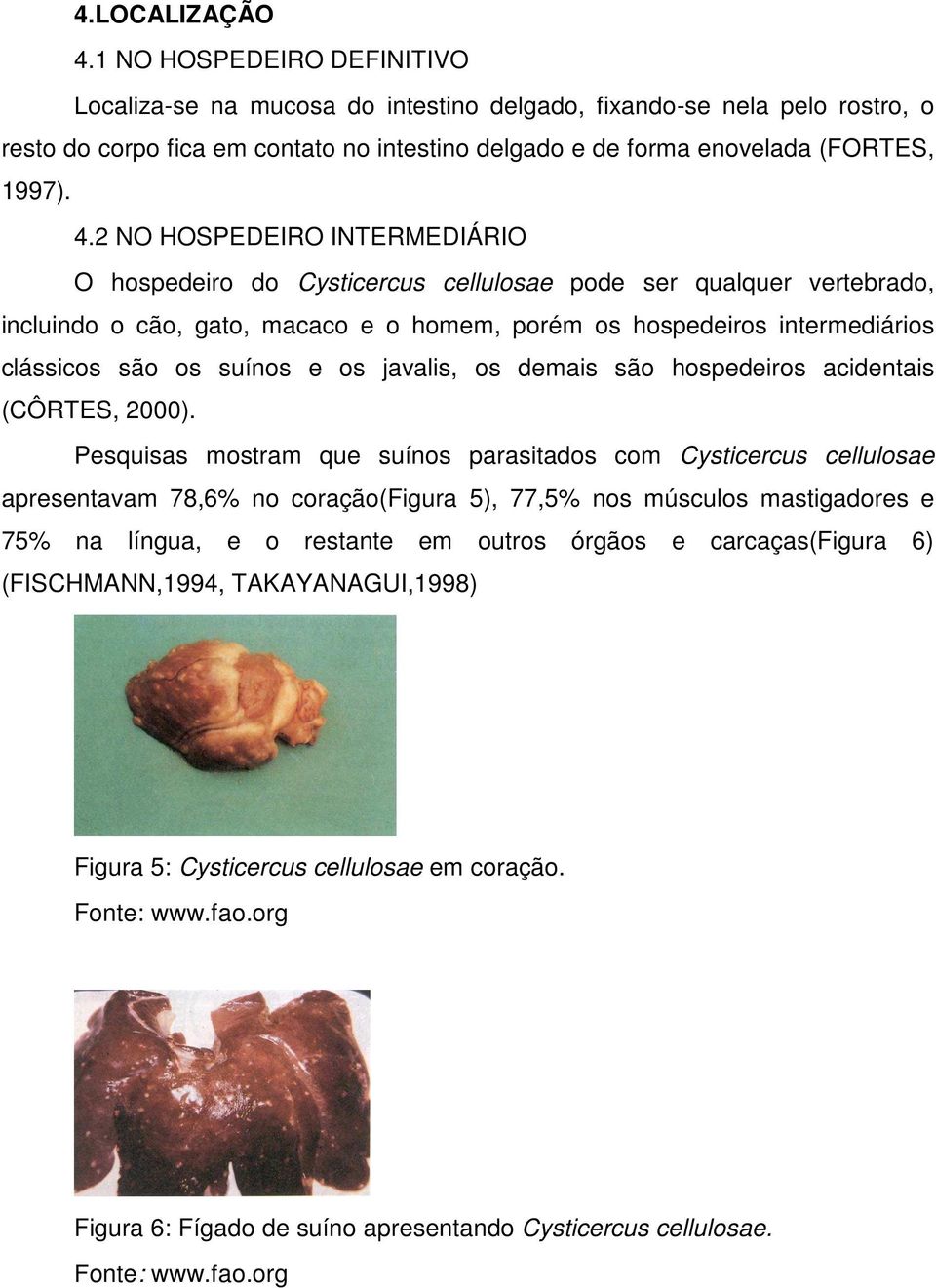 2 NO HOSPEDEIRO INTERMEDIÁRIO O hospedeiro do Cysticercus cellulosae pode ser qualquer vertebrado, incluindo o cão, gato, macaco e o homem, porém os hospedeiros intermediários clássicos são os suínos