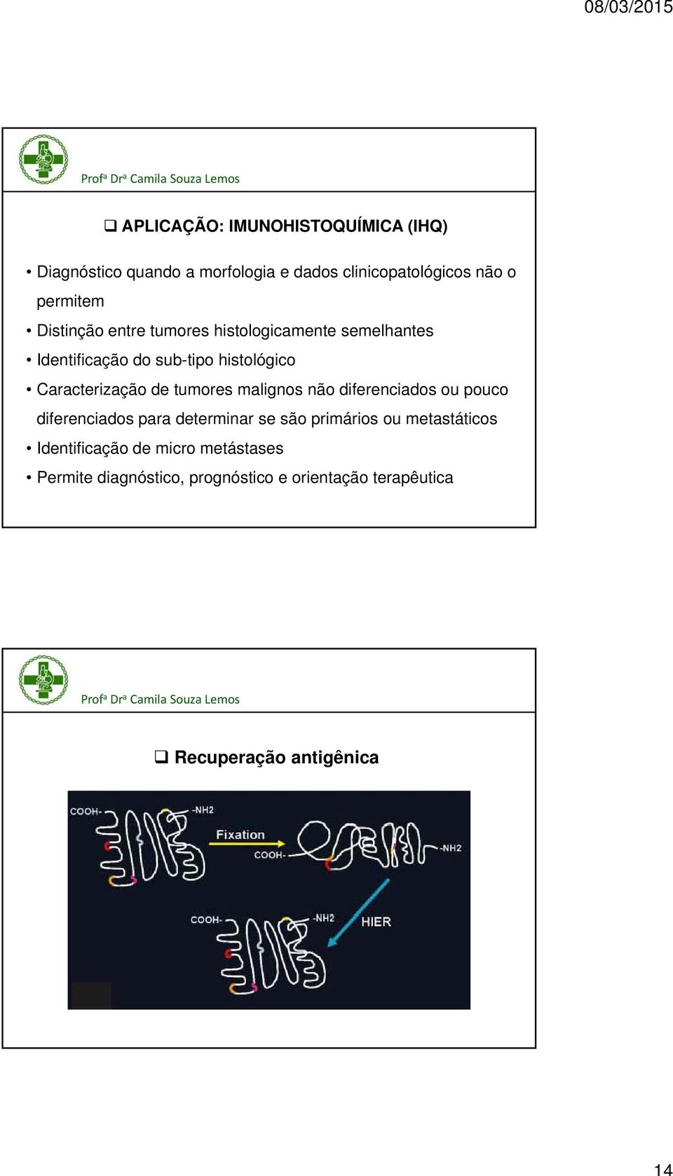 tumores malignos não diferenciados ou pouco diferenciados para determinar se são primários ou metastáticos