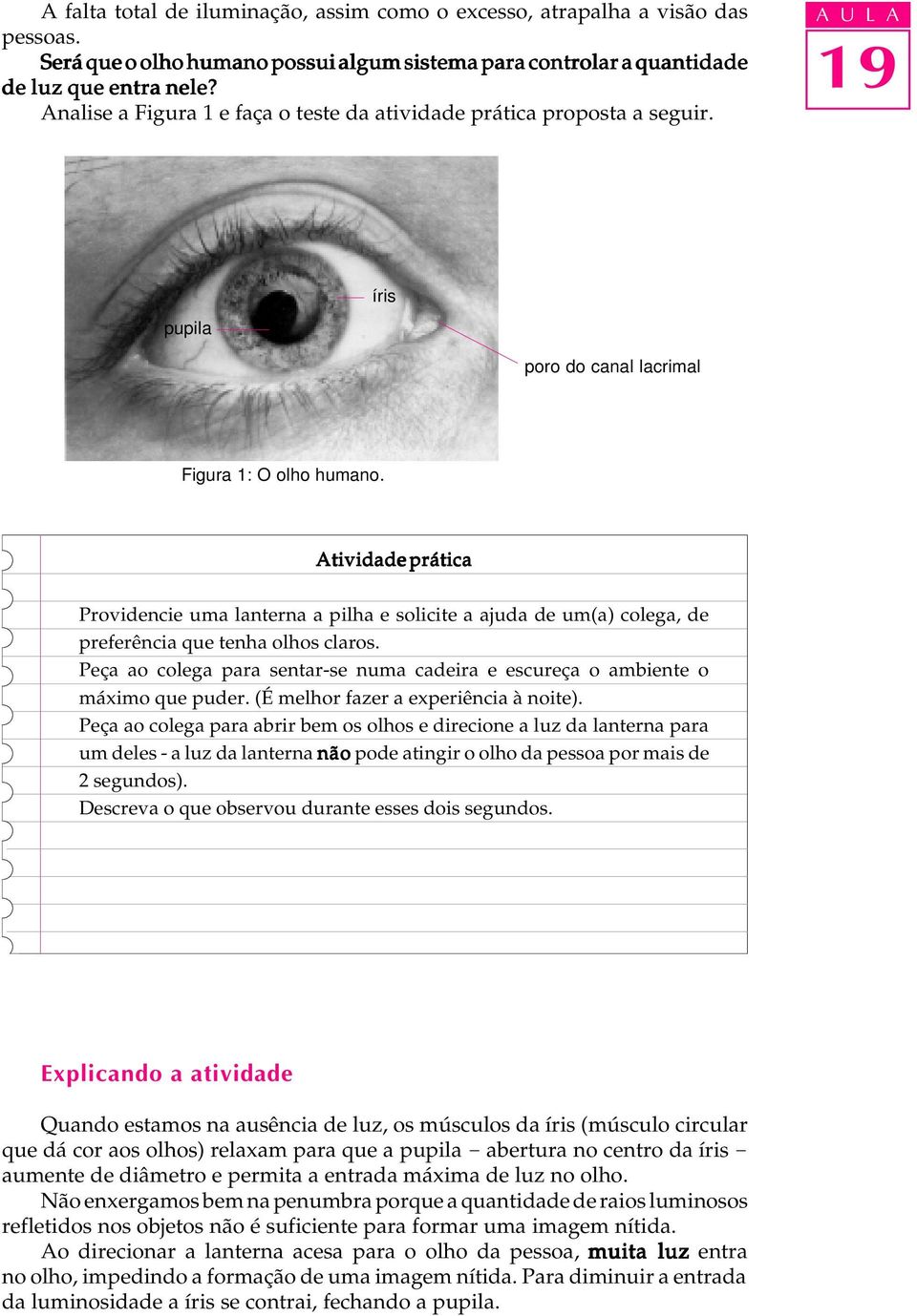 Atividade prática poro do canal lacrimal Providencie uma lanterna a pilha e solicite a ajuda de um(a) colega, de preferência que tenha olhos claros.