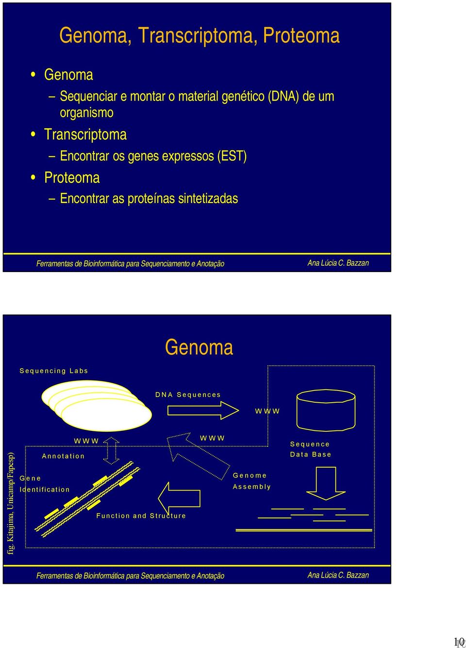sintetizadas Genoma Sequencing Labs DNA Sequences WWW fig.