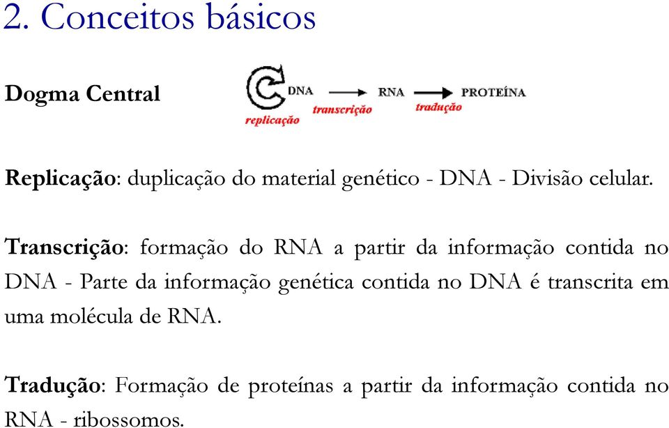 Transcrição: formação do RNA a partir da informação contida no DNA - Parte da