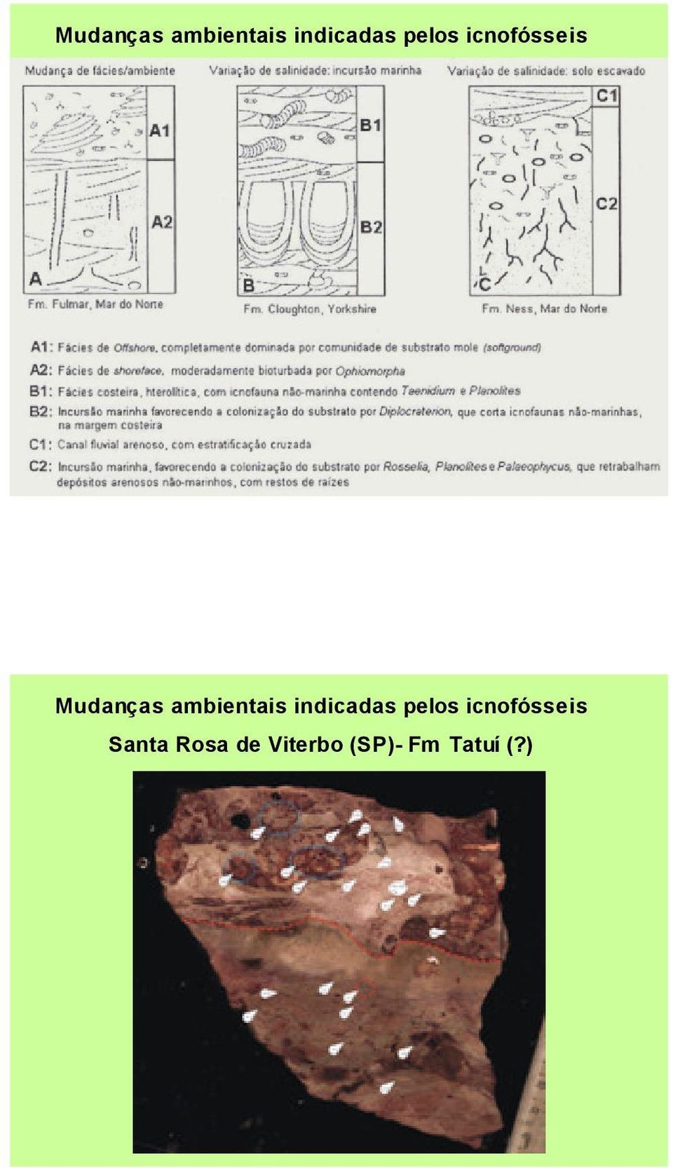 icnofósseis Santa Rosa de Viterbo