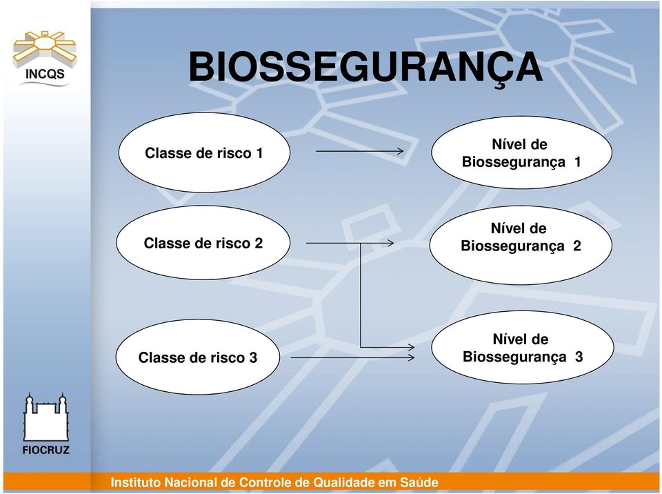 2 Nível de Biossegurança 2