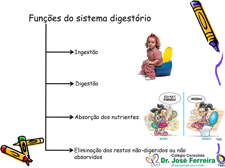 nutrientes Eliminação dos