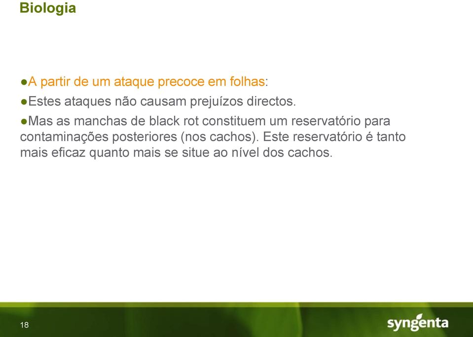 Mas as manchas de black rot constituem um reservatório para