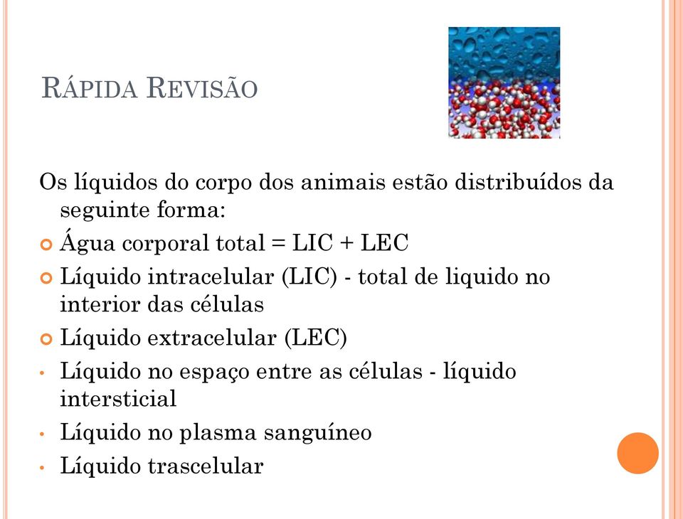 liquido no interior das células Líquido extracelular (LEC) Líquido no espaço