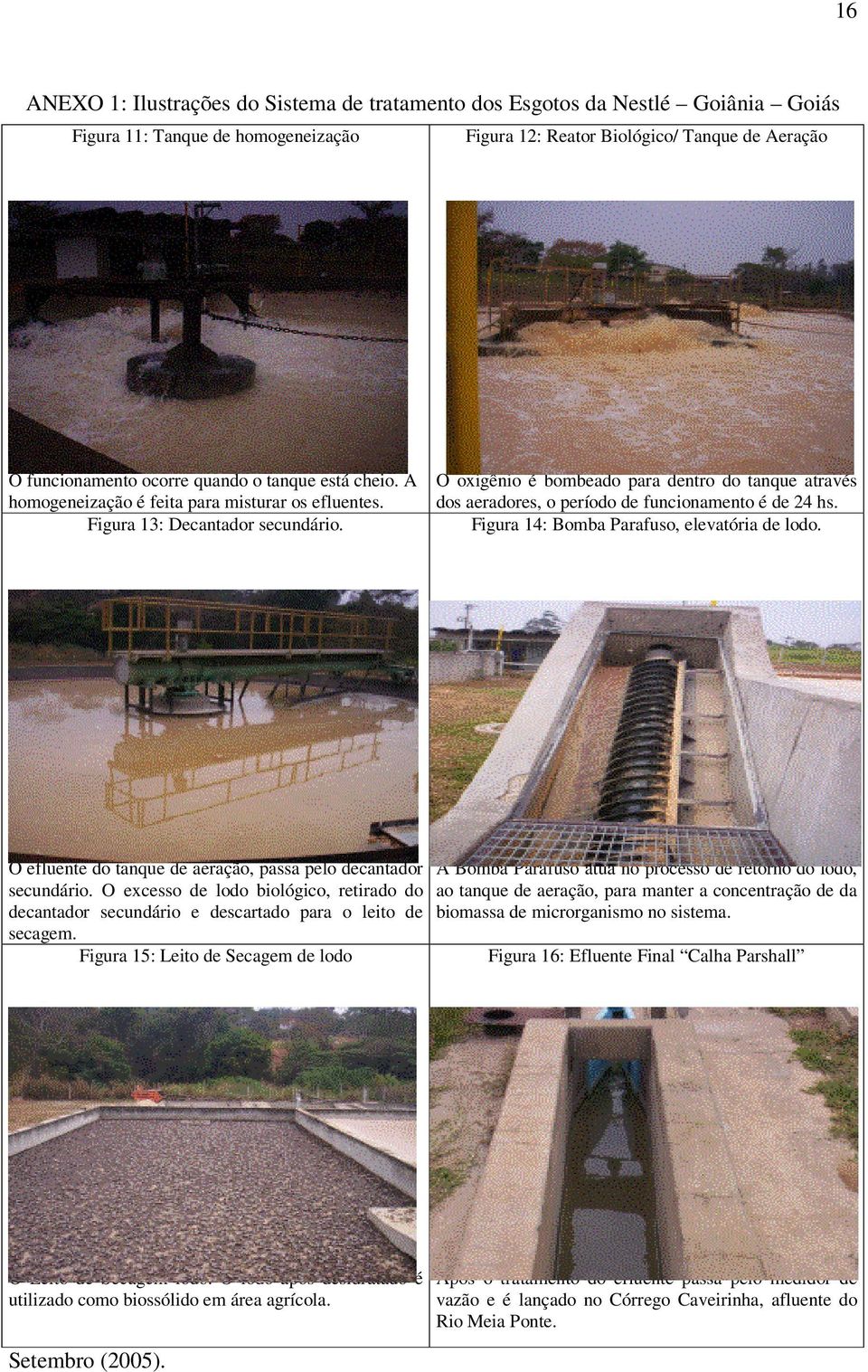 O oxigênio é bombeado para dentro do tanque através dos aeradores, o período de funcionamento é de 24 hs. Figura 14: Bomba Parafuso, elevatória de lodo.