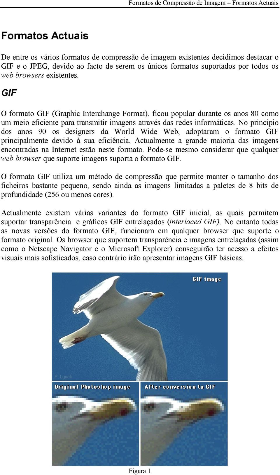 GIF O formato GIF (Graphic Interchange Format), ficou popular durante os anos 80 como um meio eficiente para transmitir imagens através das redes informáticas.