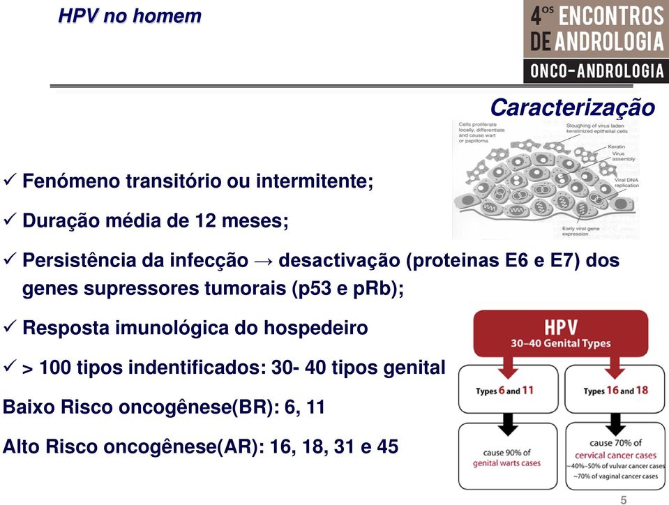 tumorais (p53 e prb); Resposta imunológica do hospedeiro > 100 tipos indentificados: