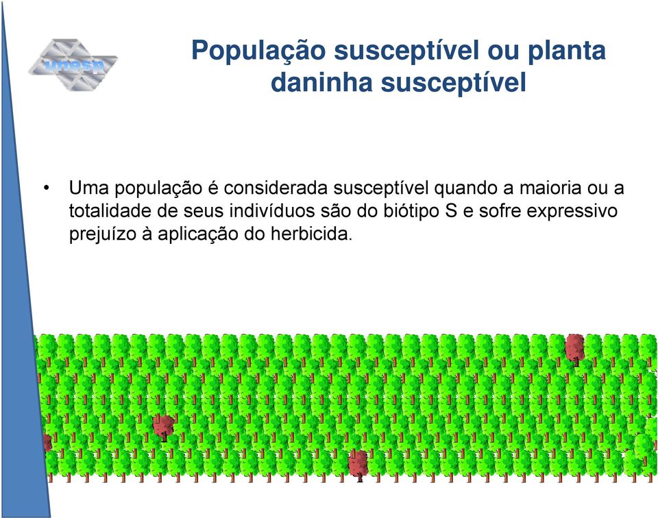 maioria ou a totalidade de seus indivíduos são do