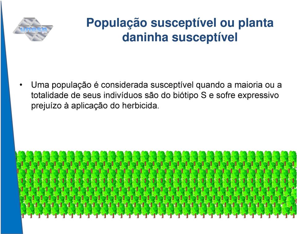 maioria ou a totalidade de seus indivíduos são do