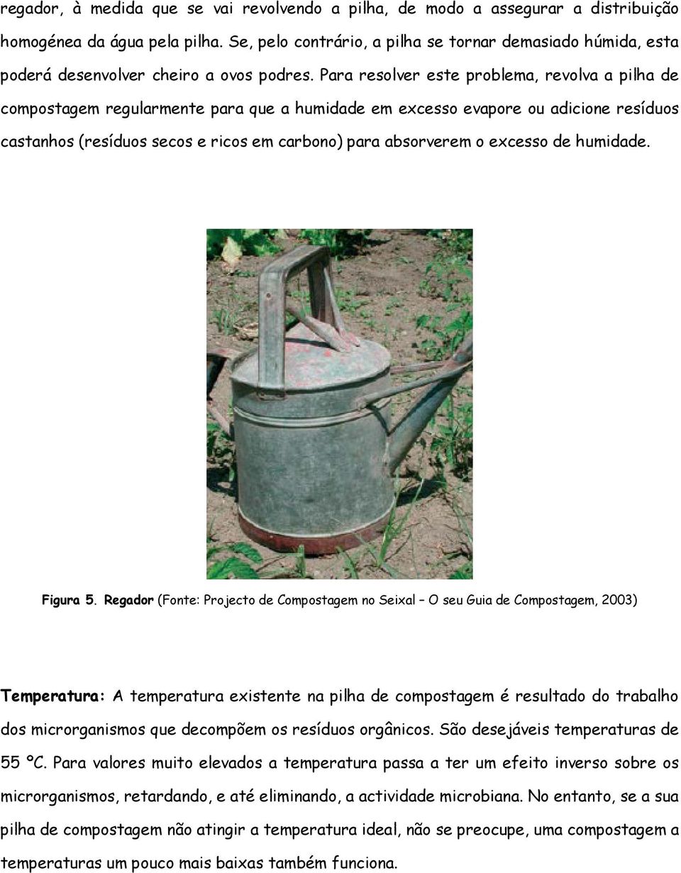 Para resolver este problema, revolva a pilha de compostagem regularmente para que a humidade em excesso evapore ou adicione resíduos castanhos (resíduos secos e ricos em carbono) para absorverem o