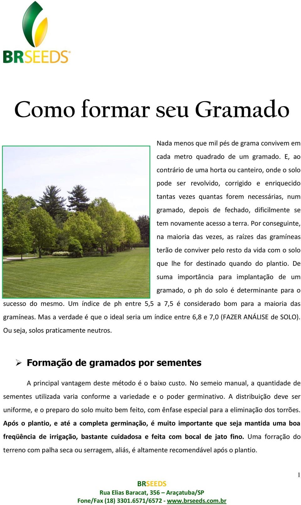 acesso a terra. Por conseguinte, na maioria das vezes, as raízes das gramíneas terão de conviver pelo resto da vida com o solo que lhe for destinado quando do plantio.